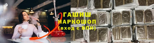 молекула духа Лабытнанги