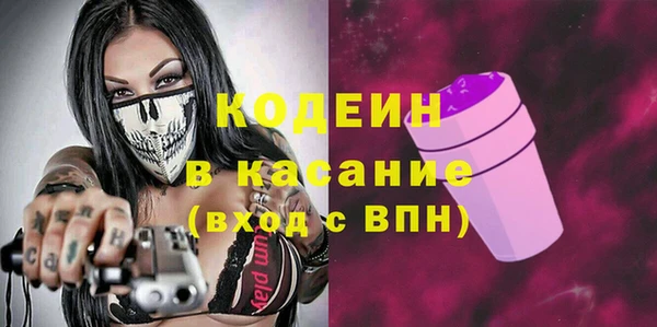 молекула духа Лабытнанги