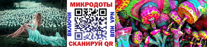 Галлюциногенные грибы Cubensis Томилино